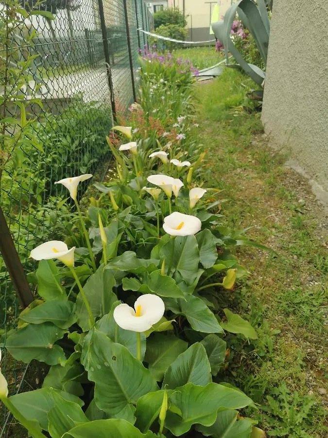 Σπίτι διακοπών Grandma'S Garden House Βίλα Angera